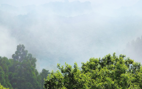 宜关茶业：定制礼茶，传递至臻情谊